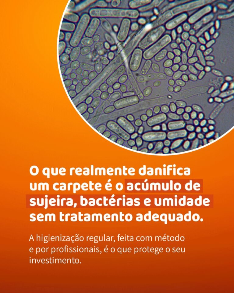 1784066123237_page-0006